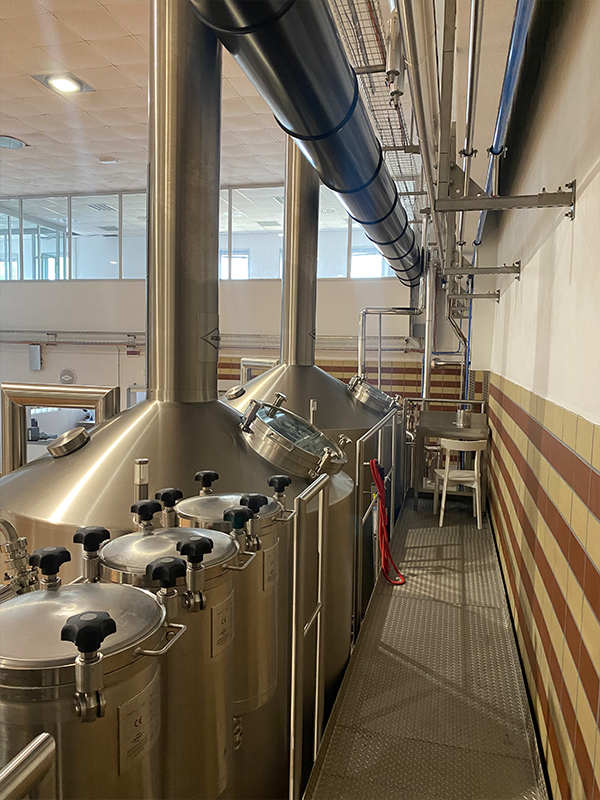 Un vecchio fienile e una birra speciale: la storia di Ibeer-4