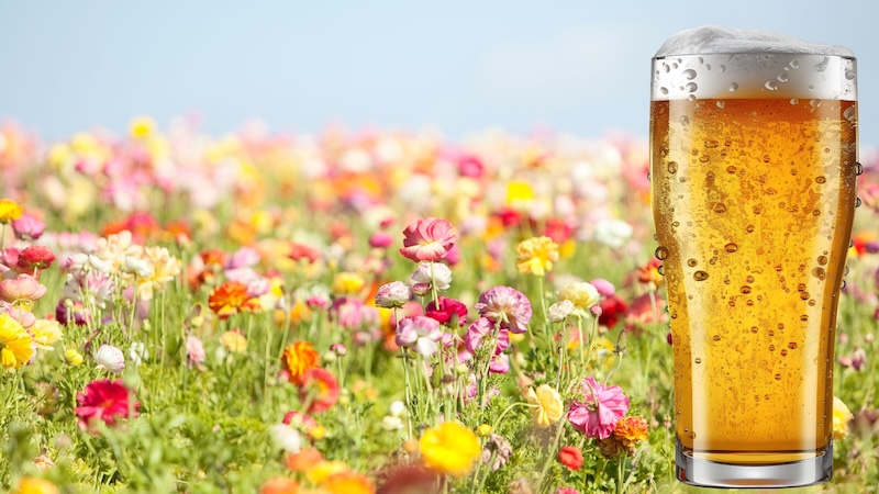 birra primavera