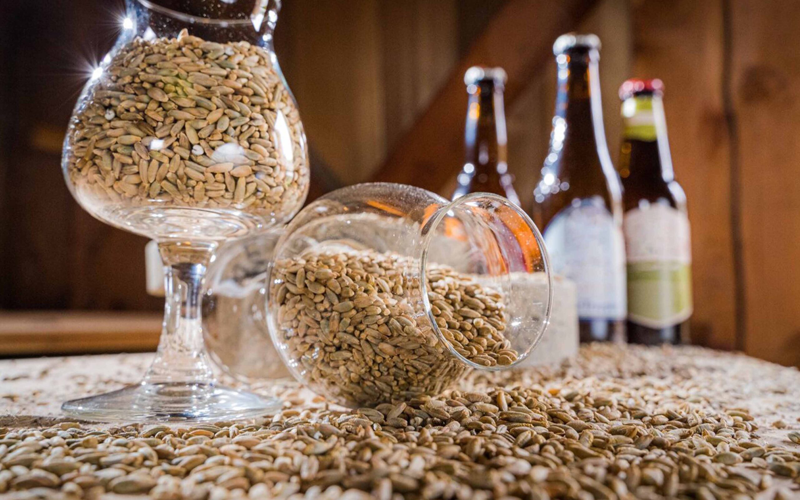 mosto della birra1
