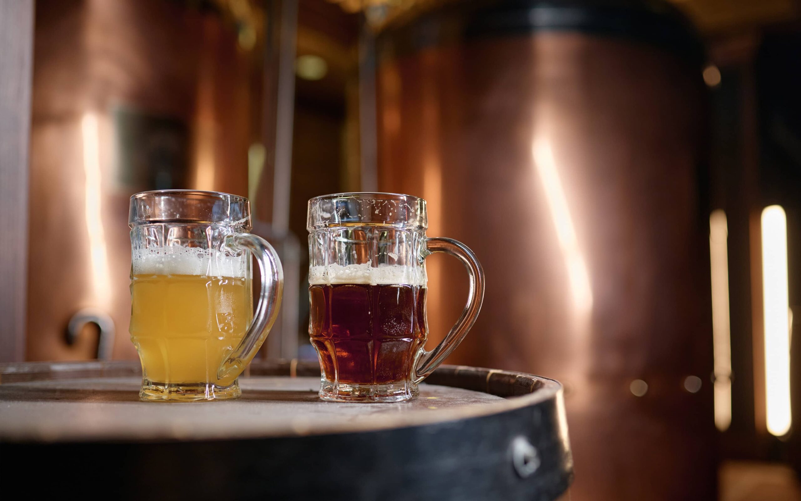 modi di dire con la birra3