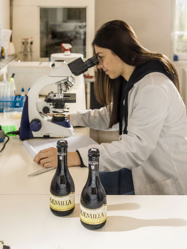 chiusura di Birra del Borgo 1