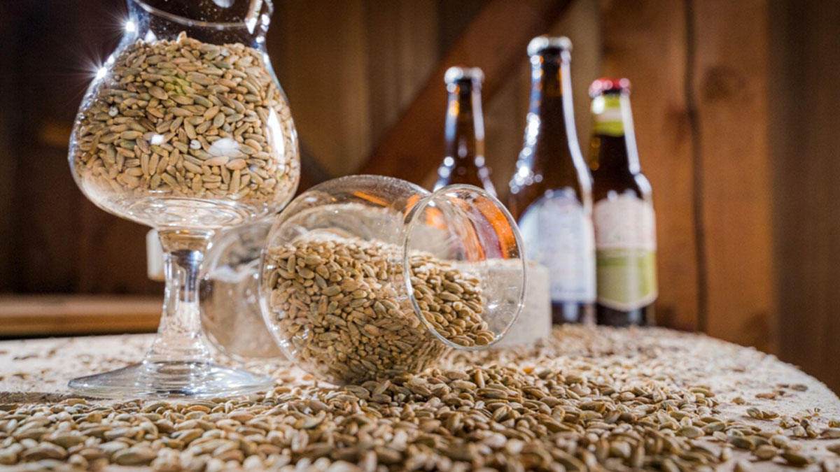 chiusura di Birra del Borgo 3