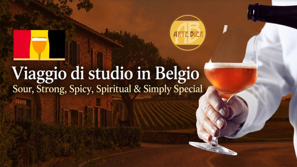 viaggio in Belgio 1